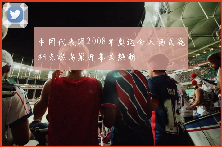 中国代表团2008年奥运会入场式亮相点燃鸟巢开幕式热潮