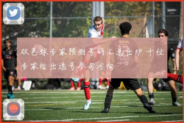 双色球专家预测号码汇总出炉 十位专家给出选号参考方向