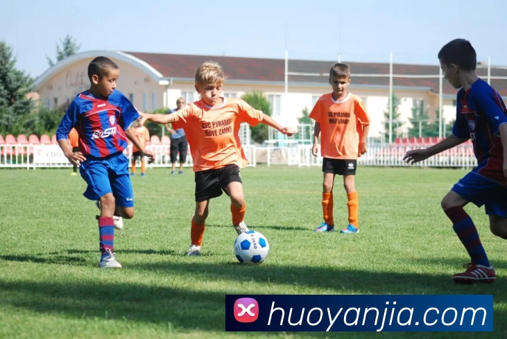 米兰官网地址平台生态图